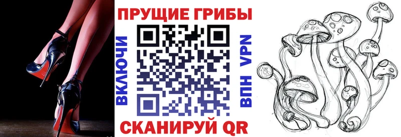 Галлюциногенные грибы мицелий Махачкала